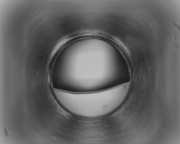 X0000097891368200803140955