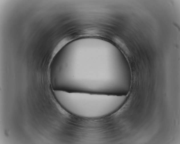 X0000097891370200803140955