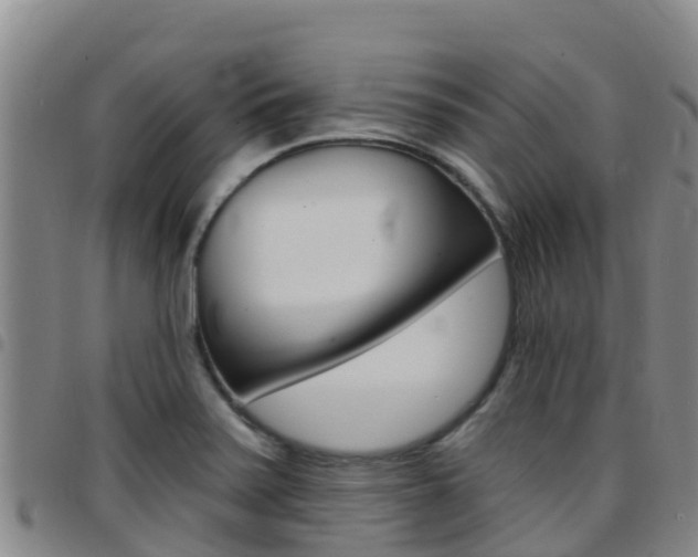 X0000097891371200803140955