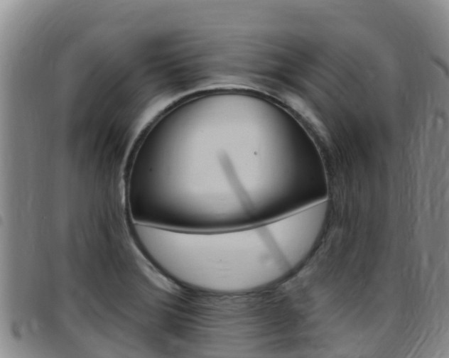 X0000097891372200803140955