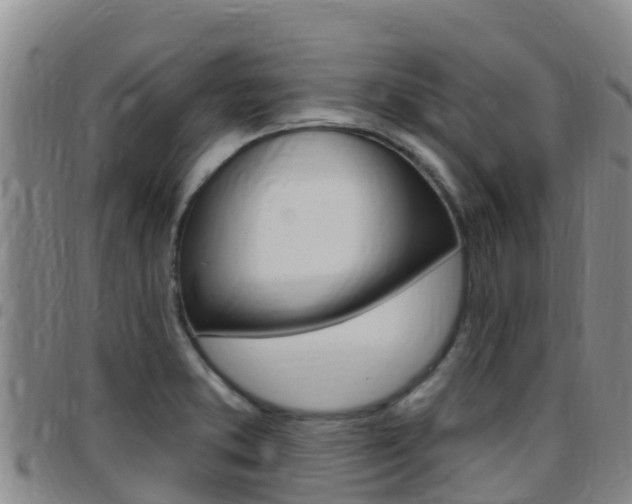 X0000097891373200803140955