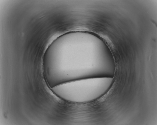 X0000097891374200803140955