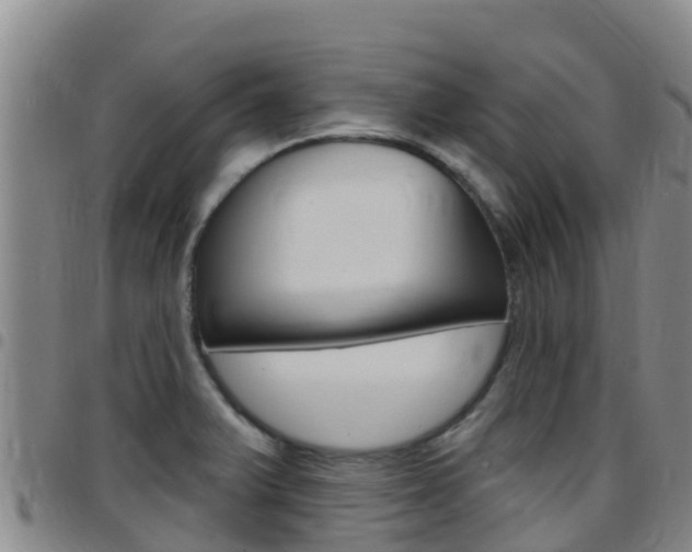 X0000097891375200803140955