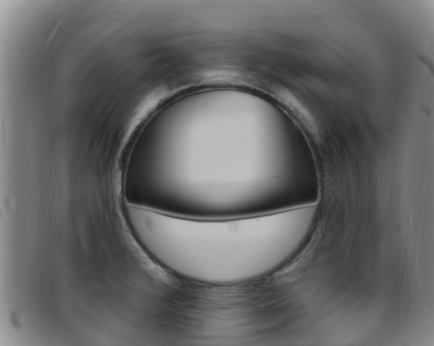 X0000097891376200803140955