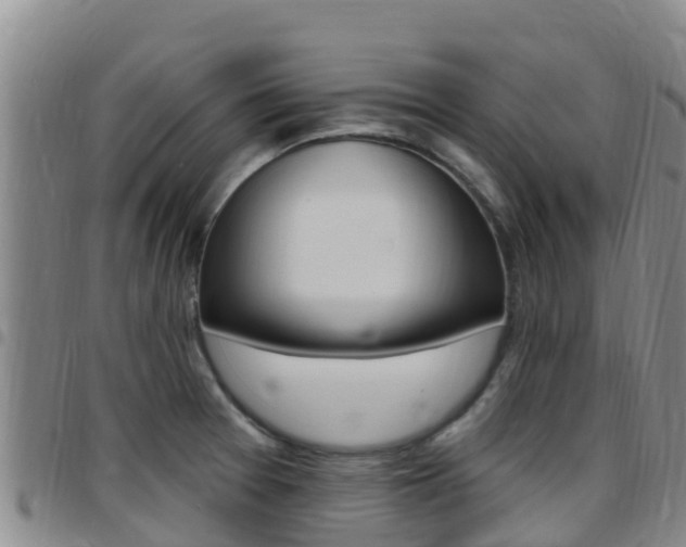 X0000097891377200803140955