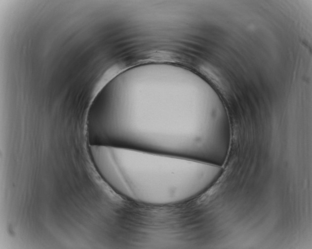 X0000097891378200803140955