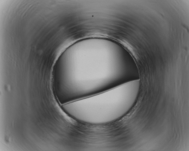 X0000097891379200803140955