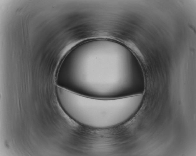 X0000097891380200803140955