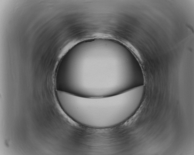 X0000097891381200803140955
