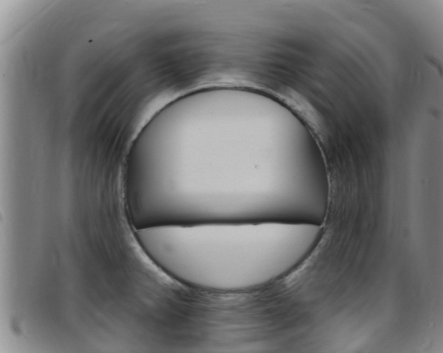 X0000097891382200803140955