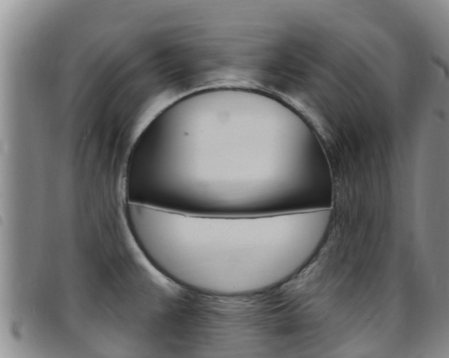 X0000097891383200803140955