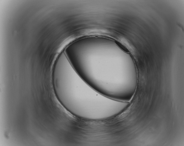 X0000097891384200803140955