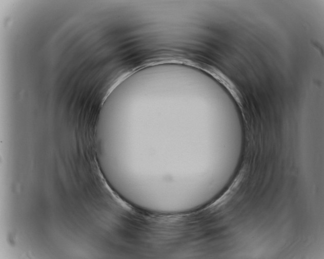 X0000097891385200803140955