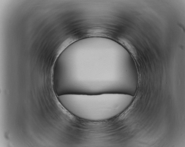 X0000097891386200803140955