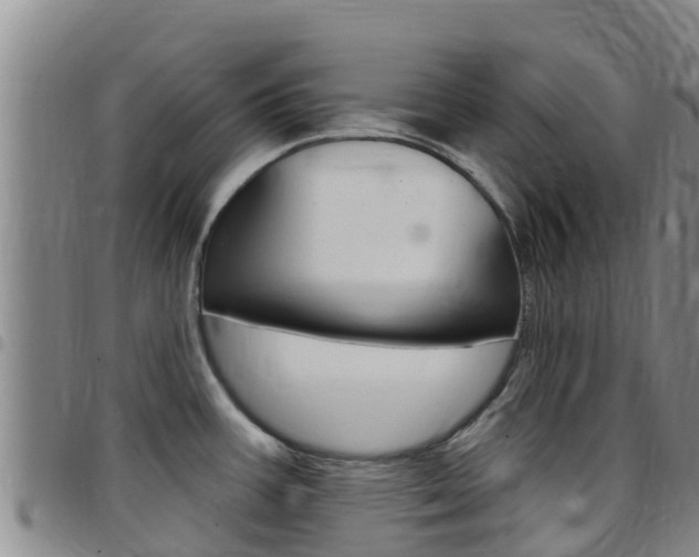 X0000097891387200803140955