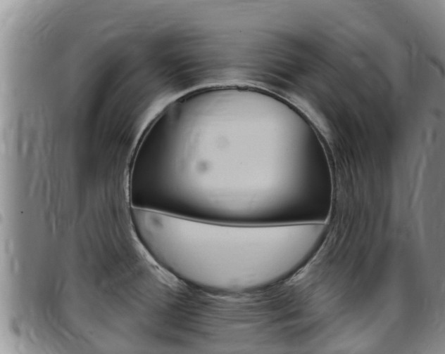 X0000097891388200803140955