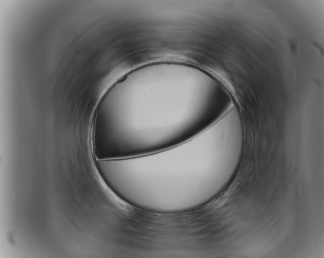 X0000097891391200803140955