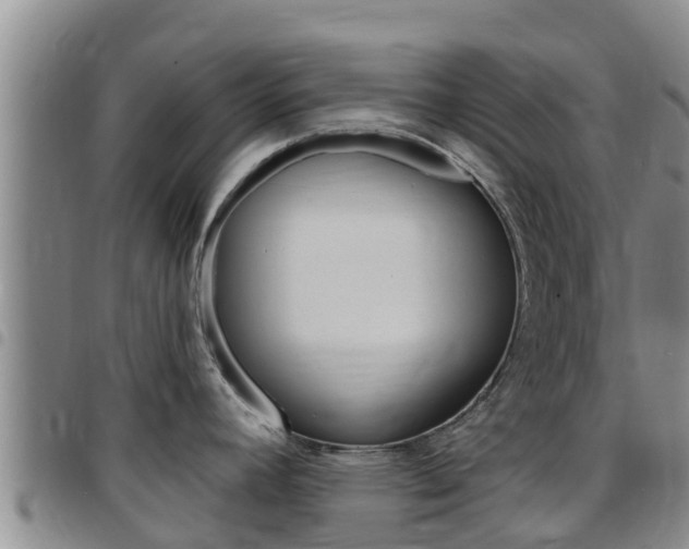 X0000097891392200803140955