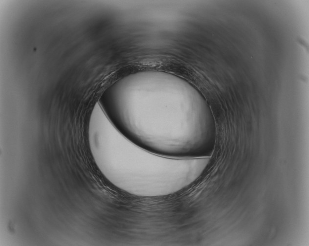 X0000097891394200803140954
