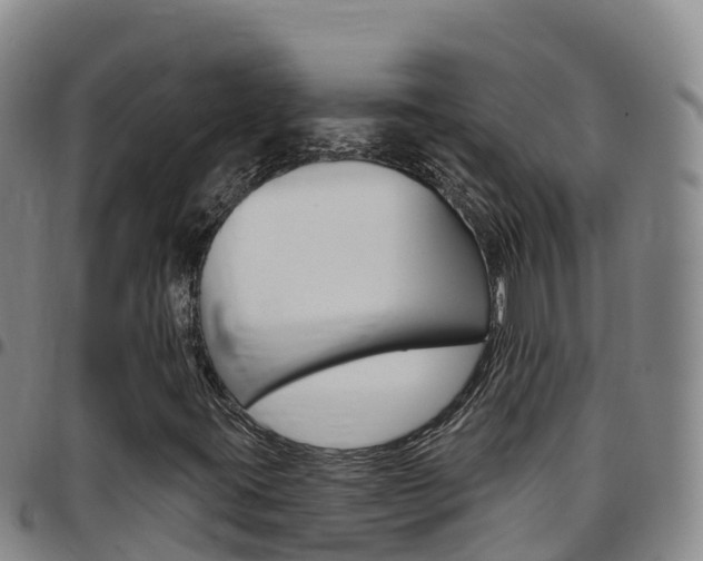 X0000097891395200803140954