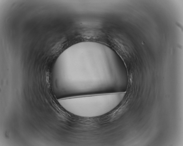 X0000097891396200803140954