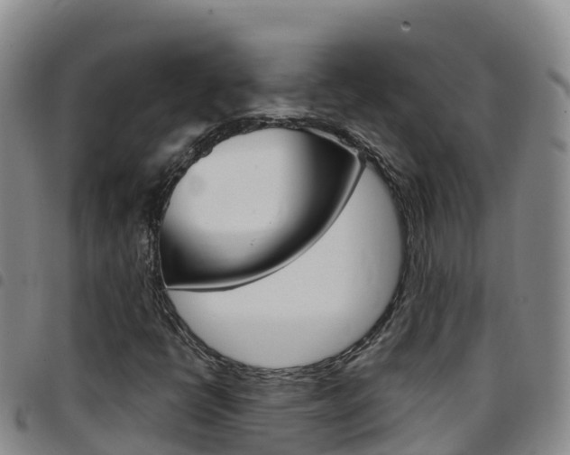 X0000097891398200803140954