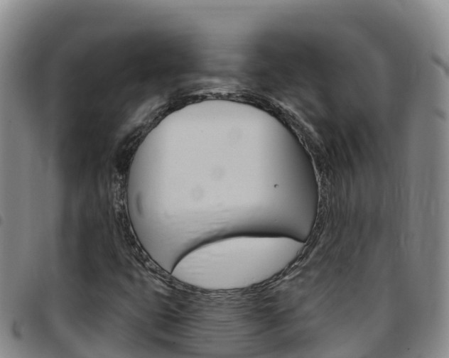 X0000097891399200803140954