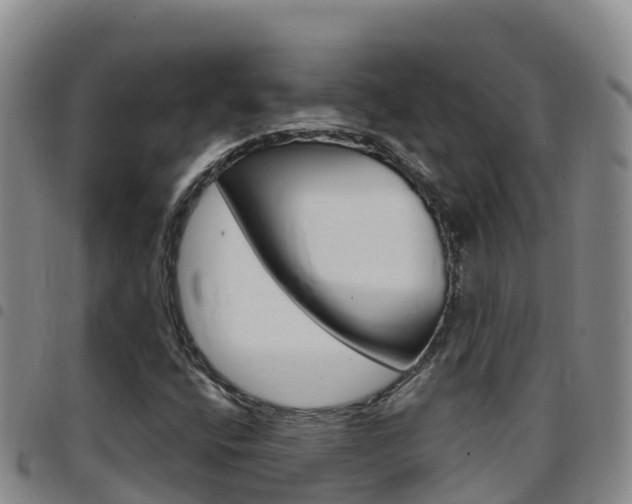 X0000097891400200803140954