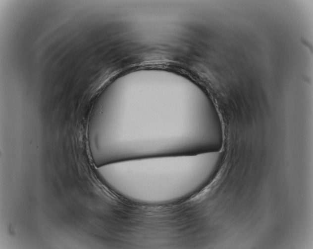 X0000097891401200803140954
