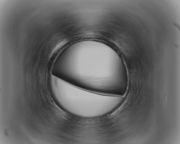 X0000097891402200803140954