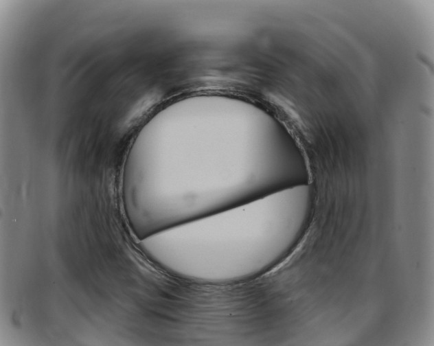 X0000097891403200803140954