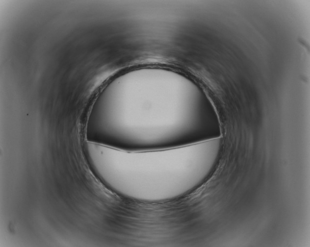 X0000097891404200803140954