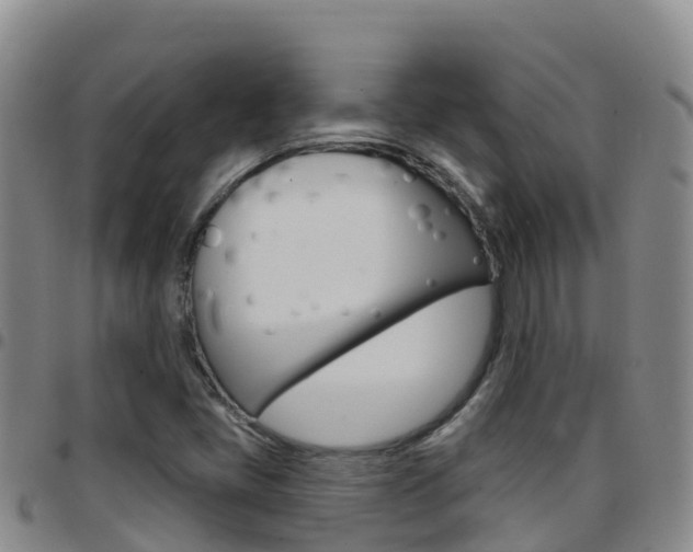 X0000097891405200803140954