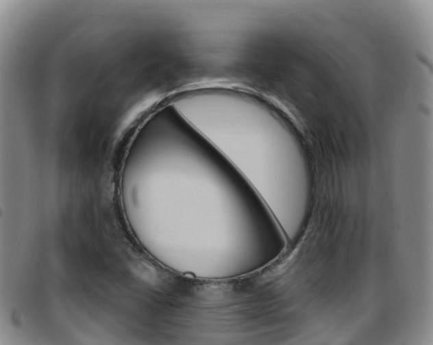 X0000097891406200803140954