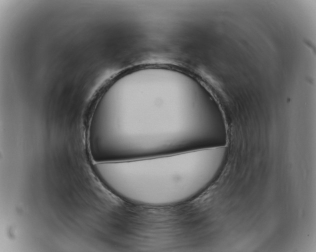 X0000097891408200803140954