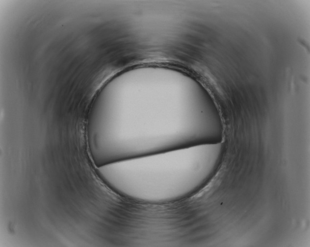 X0000097891409200803140954