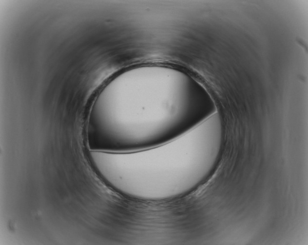 X0000097891410200803140955