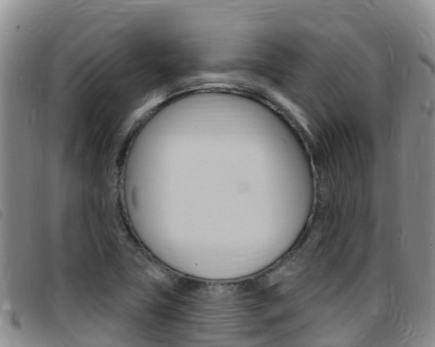 X0000097891411200803140955