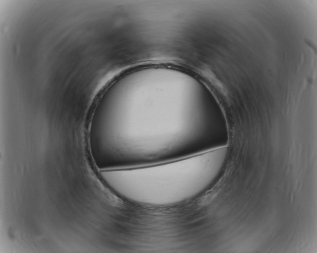 X0000097891412200803140955