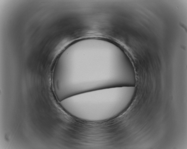 X0000097891415200803140955