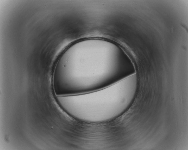 X0000097891416200803140955