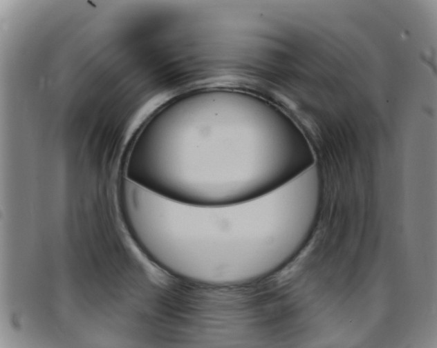 X0000097891418200803140955
