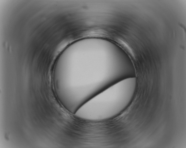 X0000097891419200803140955