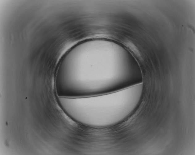 X0000097891420200803140955