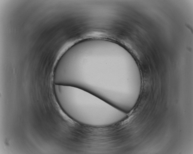 X0000097891421200803140955