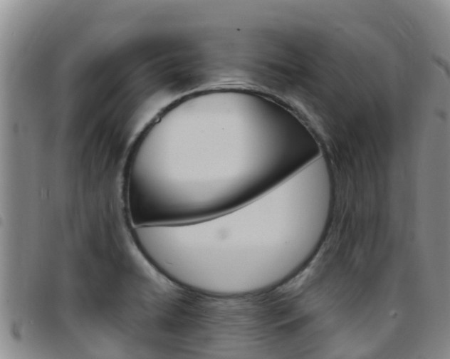 X0000097891422200803140955