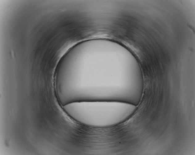 X0000097891423200803140955