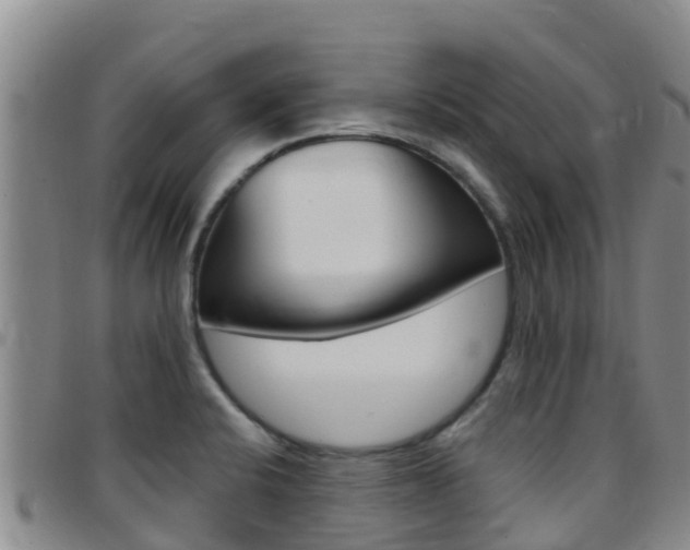 X0000097891424200803140955
