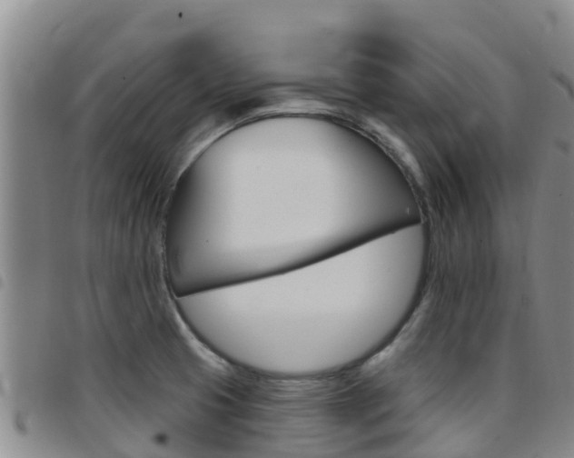 X0000097891425200803140955
