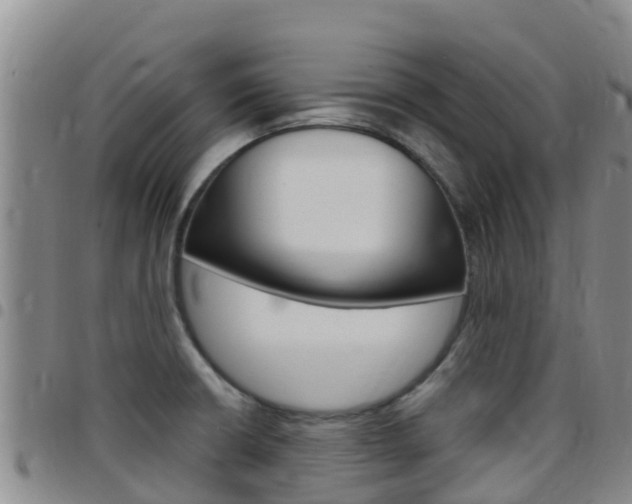 X0000097891426200803140955